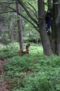 2018 Ausbildungswoche Arber